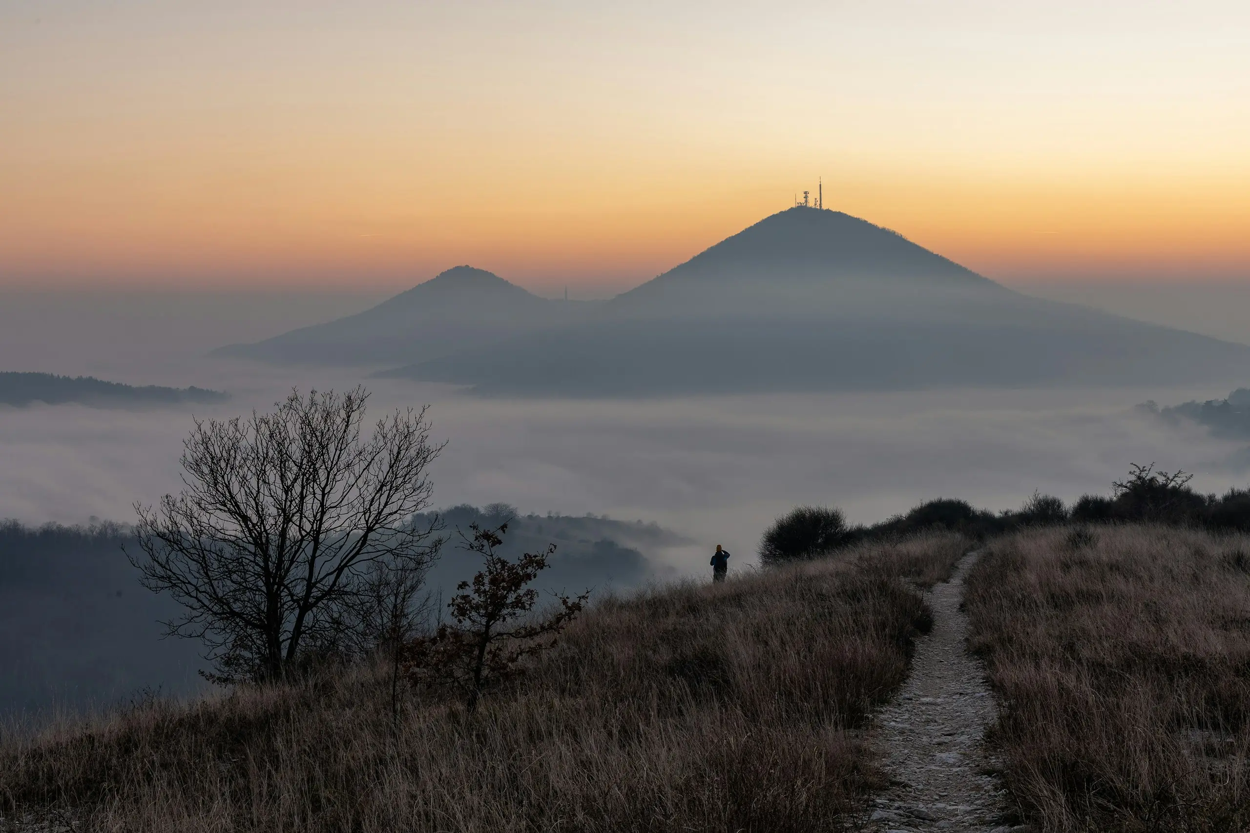 Mist